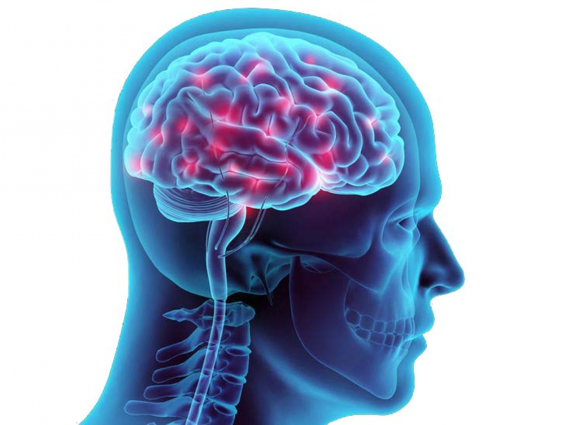 Head Diseases Turkey Istanbul Medical